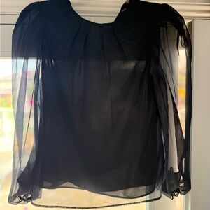 Express Black Sheer Blouse